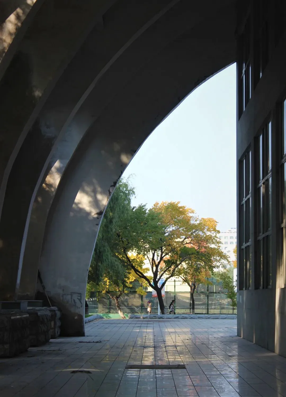 大学生篮球社团如何引入智能情感技术_0
